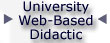 University Web-based Didactic