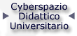Cyberspazio Didattico Universitario
